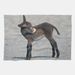 Burro Kitchen Towel