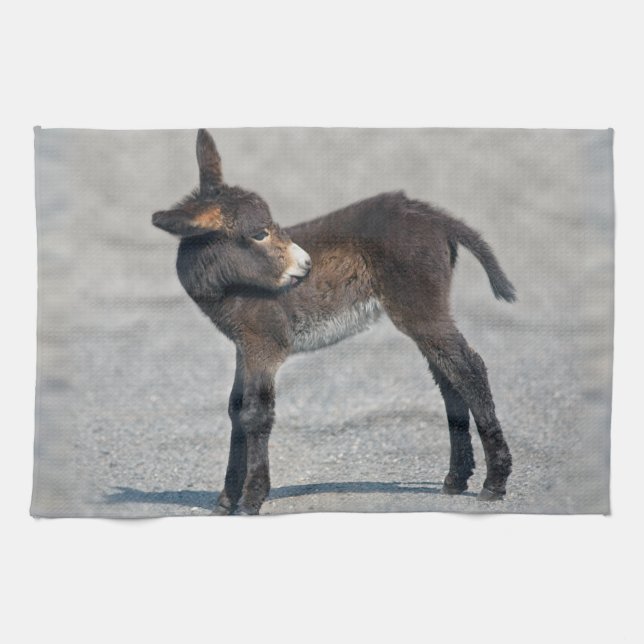 Burro Kitchen Towel (Horizontal)