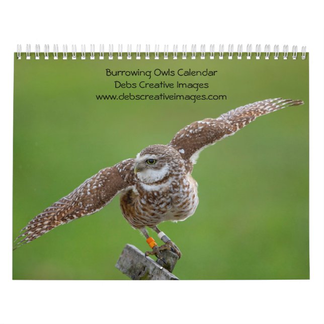 Burrowing Owl 2026 Calendar (Cover)