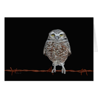 Burrowing Owl Card