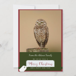 Burrowing Owl Christmas Card