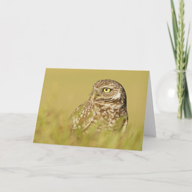 Burrowing Owl Close Up Profile Greeting Card (Front)