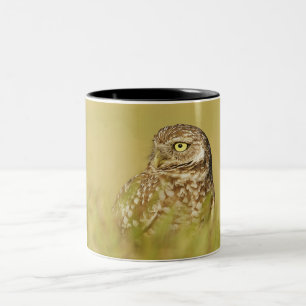 Burrowing Owl Close Up Profile Two-Tone Coffee Mug
