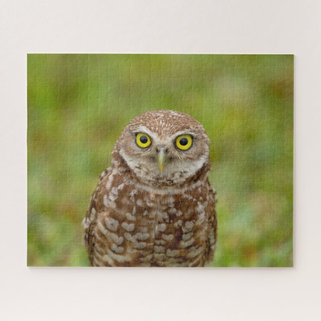 Burrowing Owl Jigsaw Puzzle (Horizontal)