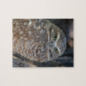 Burrowing Owl Jigsaw Puzzle (Horizontal)