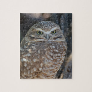 Burrowing Owl Jigsaw Puzzle