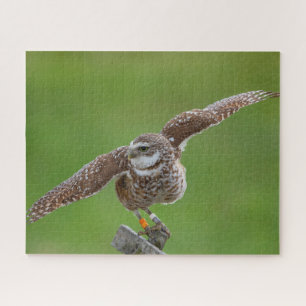 Burrowing Owl Jigsaw Puzzle