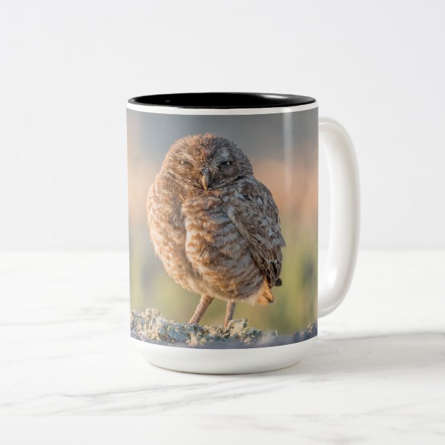 Burrowing Owl Large Mug (Front Right)