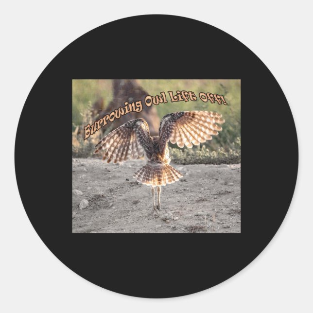 Burrowing Owl Lift Off Sticker  (Front)