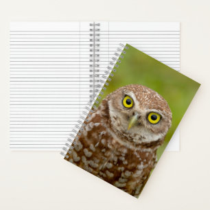 Burrowing Owl Notebook