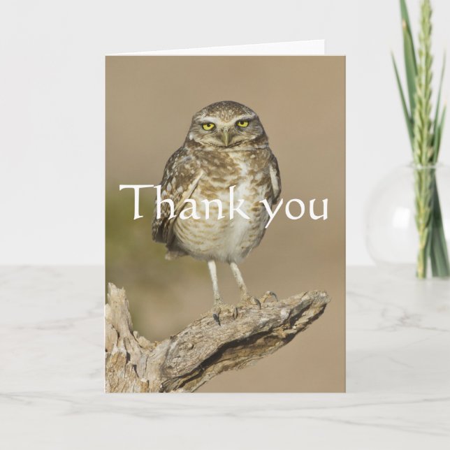 Burrowing Owl on a Cholla Rib Thank You Card (Front)