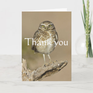 Burrowing Owl on a Cholla Rib Thank You Card
