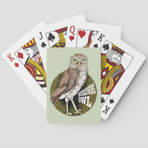 Burrowing owl playing cards