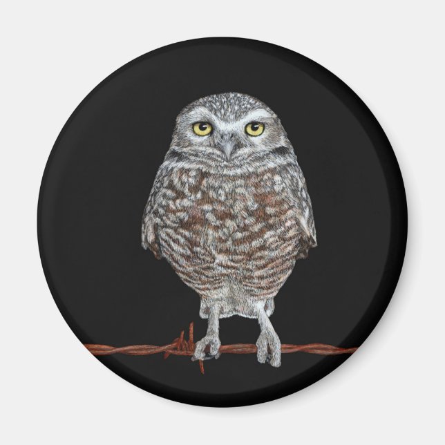 Burrowing Owl Round Magnet (Front)