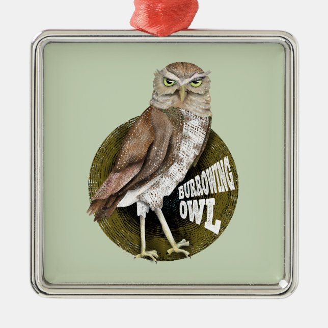 Burrowing owl shoco metal ornament (Front)