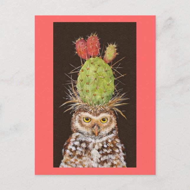 burrowing owl with cactus hat postcard (Front)