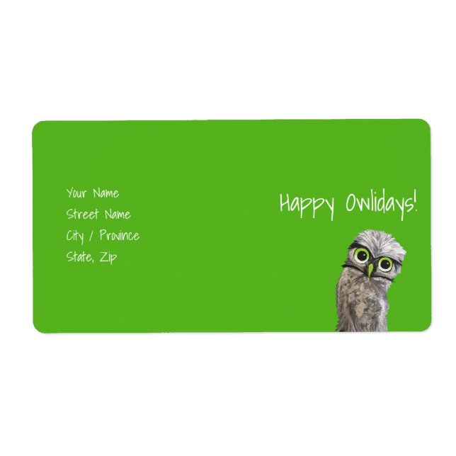 Burrowing Owls (Front)