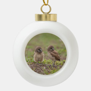 Burrowing Owls Ceramic Ball Christmas Ornament