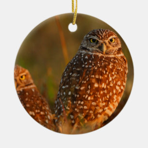 burrowing owls ceramic tree decoration