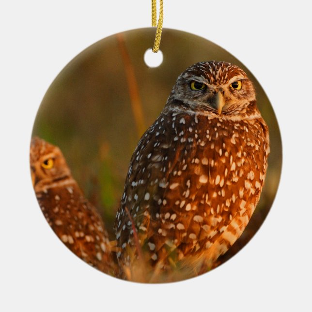 burrowing owls ceramic tree decoration (Front)