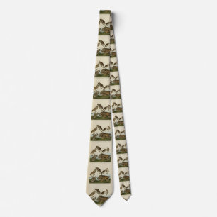 Burrowing Owls - from Audubon's Birds of America Tie