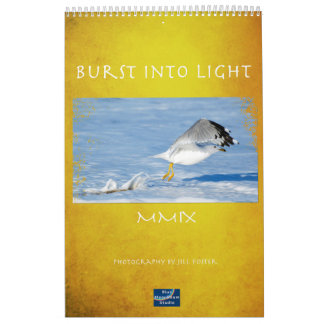 Burst of Light Calendar