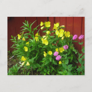 burst of yellow, touch of pink postcard