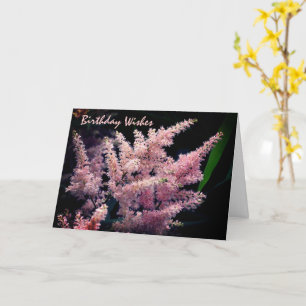 Bursting Pink Flower Birthday  Card