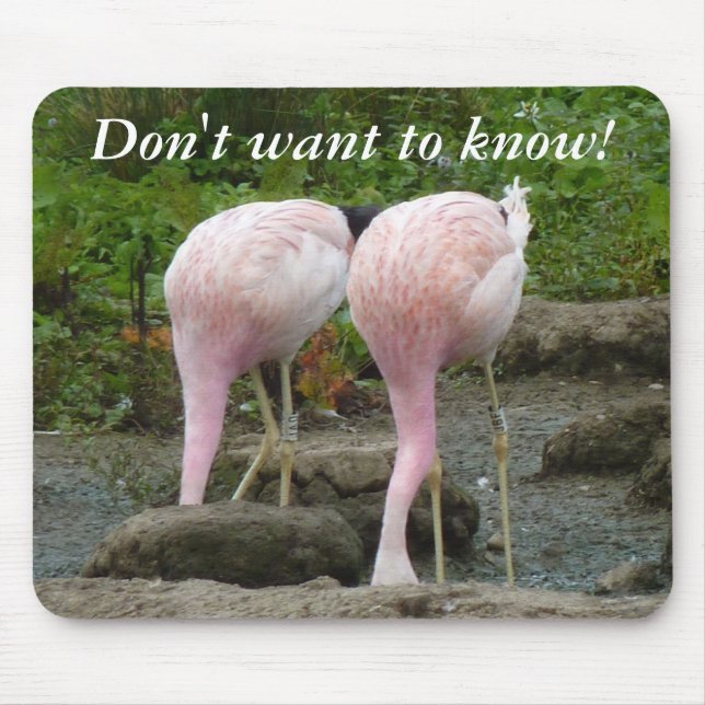 Burying one's head in the sand! mouse pad (Front)