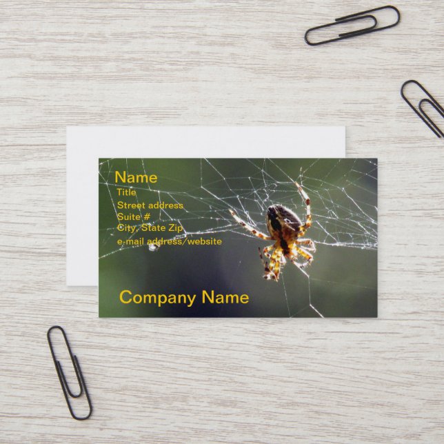 Bus. Card - Spider on Web (Front/Back In Situ)
