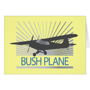 Bush Plane