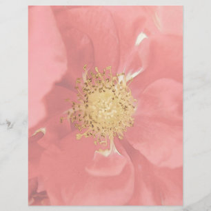 Bush Roses Mono
