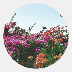 Bush With Purple Red And Orange Flowers Classic Round Sticker
