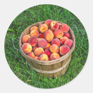 Bushel Basket of Fresh Peaches Classic Round Sticker