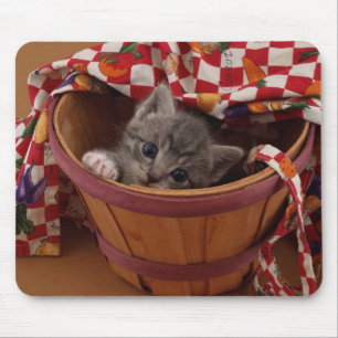 Bushel of Buster Kitty Mouse Pad