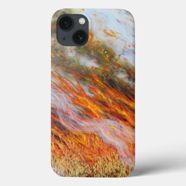 Bushfire Inferno 2014 Case-Mate iPhone Case (Back)