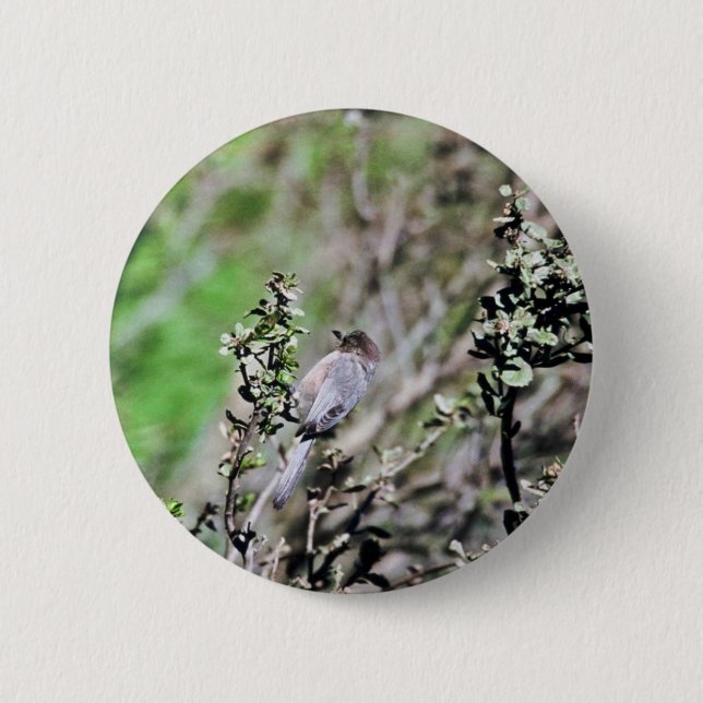 Bushtit 6 Cm Round Badge (Front)