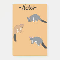 Bushy Tail Possums