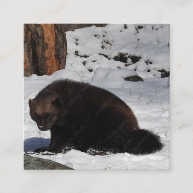 Business Card (Front)