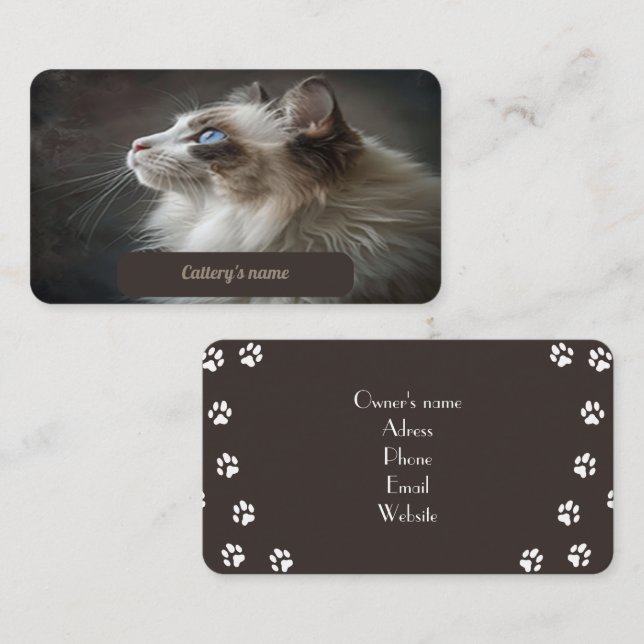 Business Card For Cattery Ragdoll  (Front/Back)
