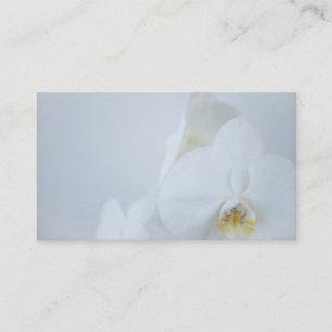 Business Card White Orchids