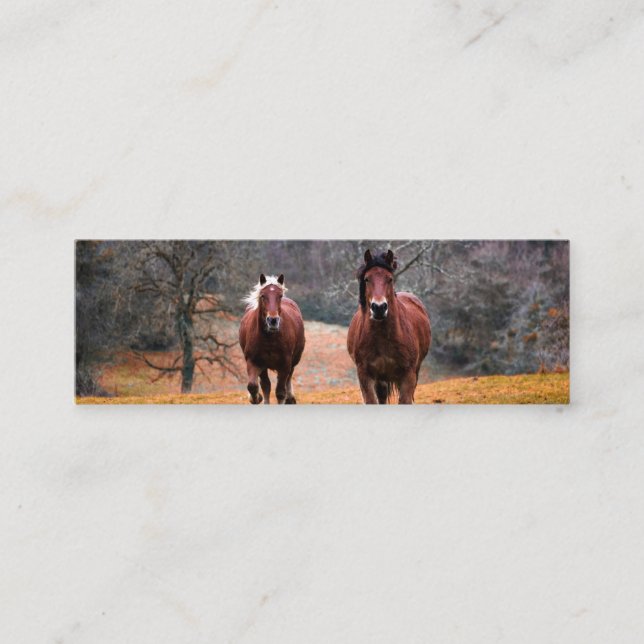 Business cards  (Front)