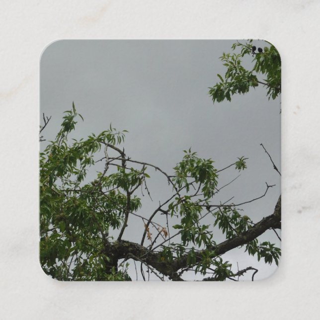 BUSINESS CARDS ART&DESIGN STYLE  (Front)