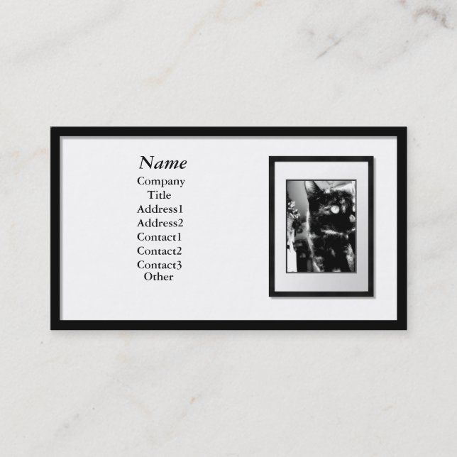 Business Cards - Black Picture Frame (white mat) (Front)