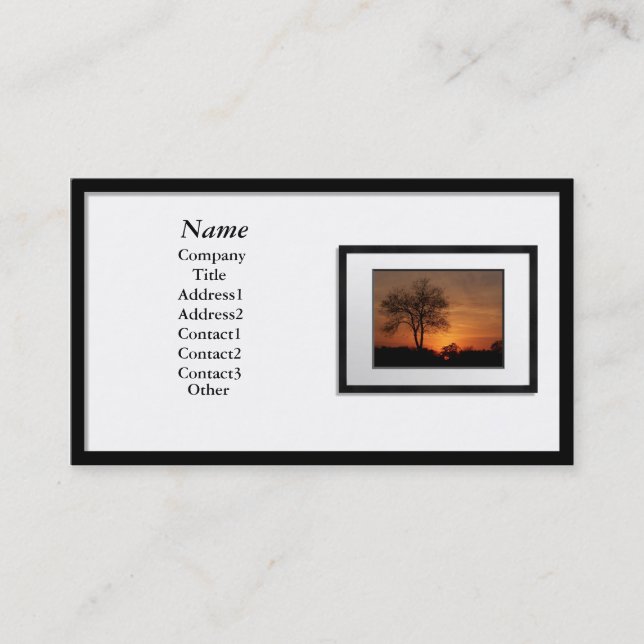 Business Cards - Black Picture Frame (white mat) (Front)