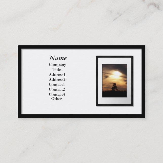 Business Cards - Black Picture Frame (white mat) (Front)
