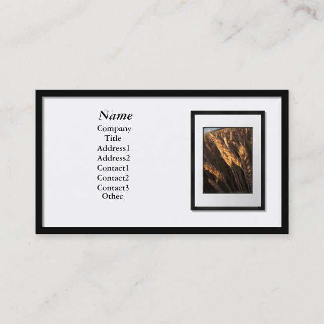 Business Cards - Black Picture Frame (white mat) (Front)