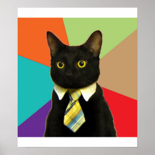Business Cat Advice Animal Meme Poster