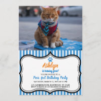 Business Cat Beautful Invitation