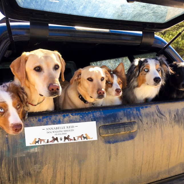 Business Dog Walker Pet Sitter Advertising Bumper  Bumper Sticker (Creator Uploaded)